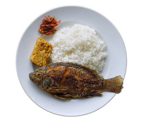 fried fish and rice